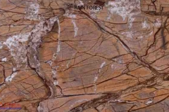 Marble stones Rain Forest