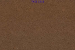 TCE-1531